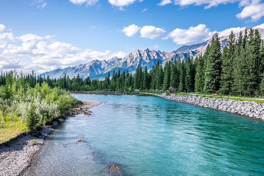 A beautiful, scenic image of a river in Alberta, Canada. Trees line the river, and there are some striking mountains in the background against a blue sky.